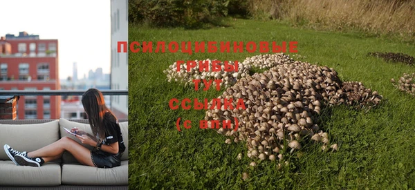 дмт Алексин
