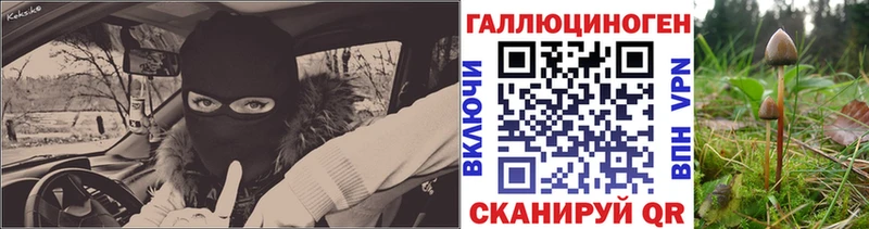 Псилоцибиновые грибы мицелий Миньяр