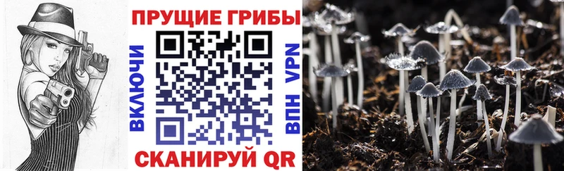 даркнет сайт  Миньяр  Псилоцибиновые грибы мухоморы 